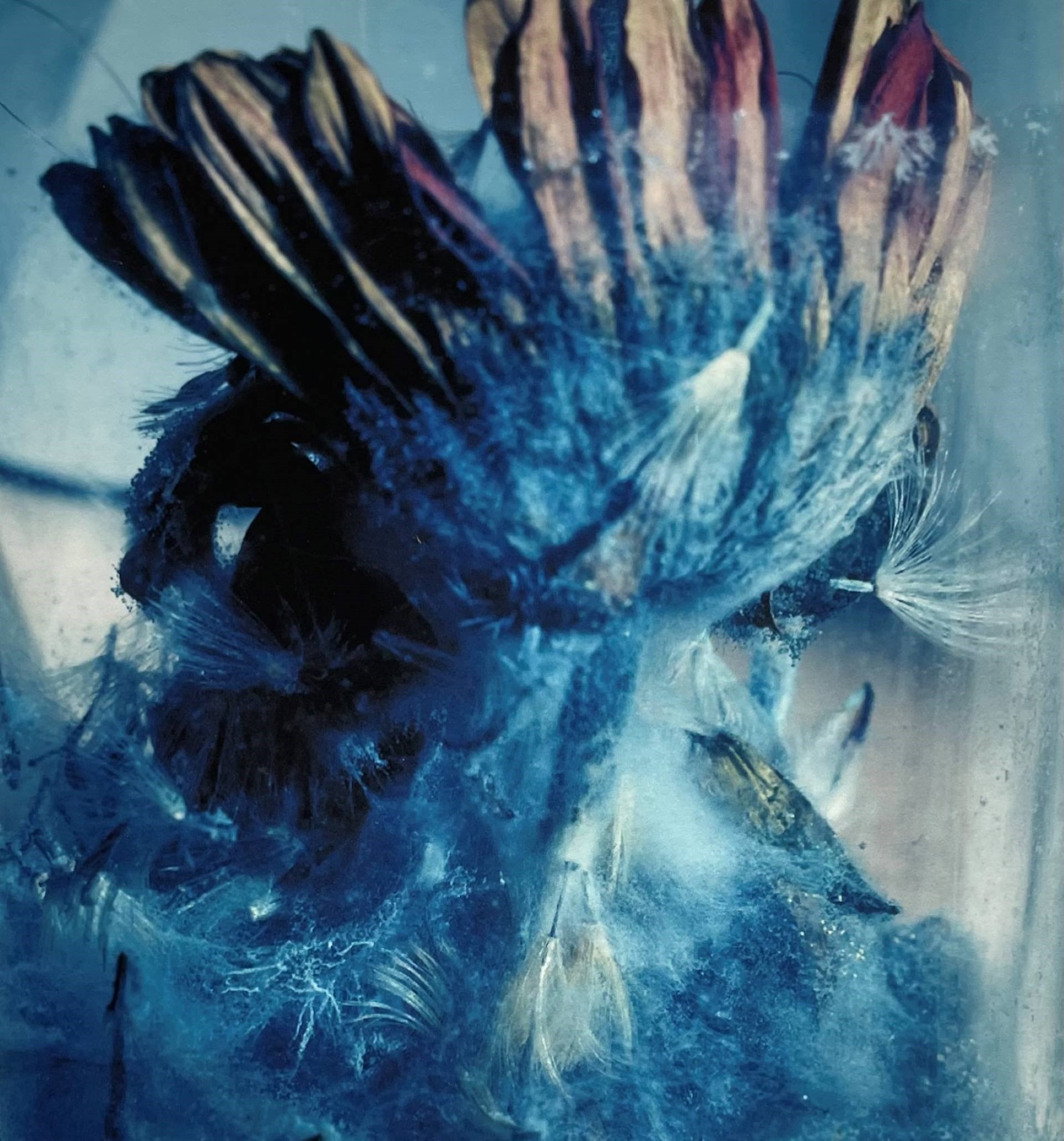 "Birth", Namya Jain, 2023.